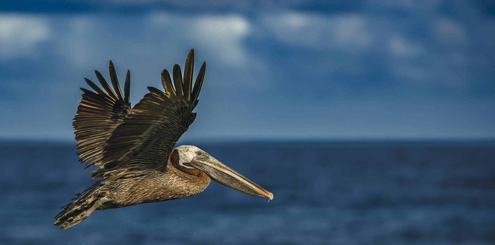 Bonaire