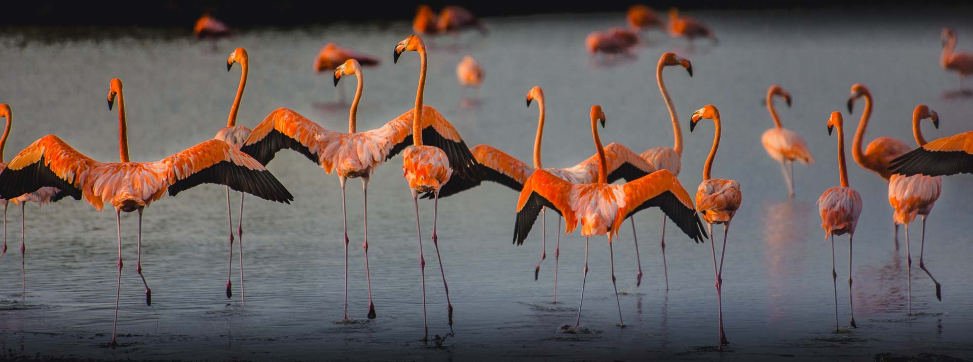 Bonaire