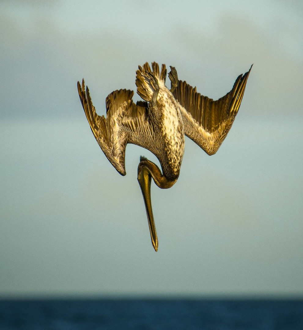 Bonaire