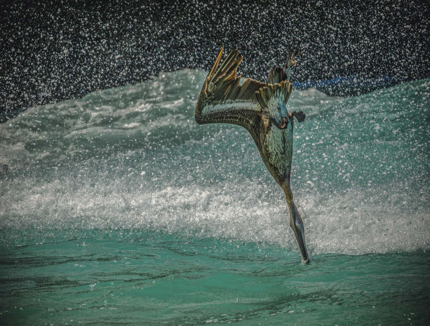 Bonaire