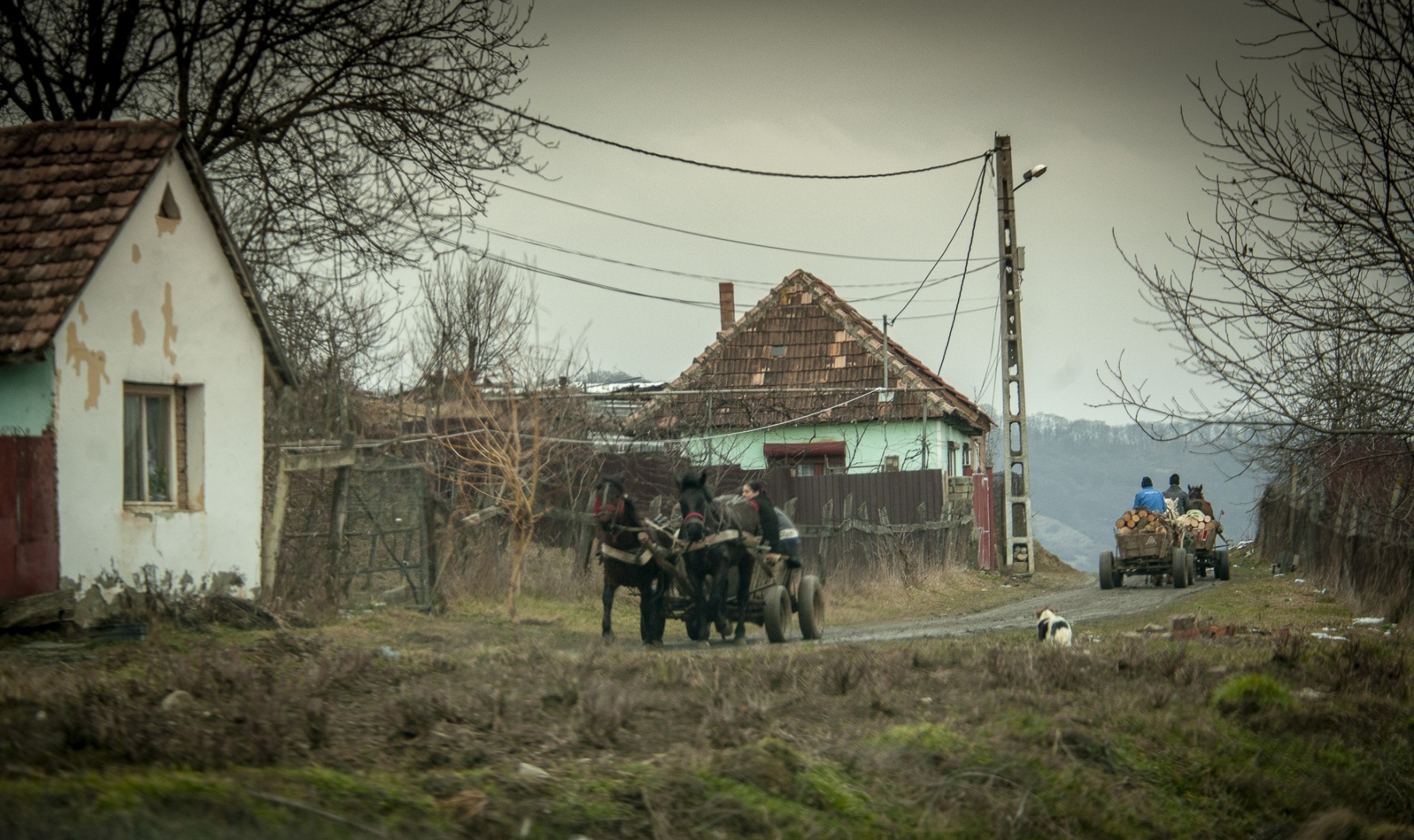 Roemenië, Boucharest, Viscri