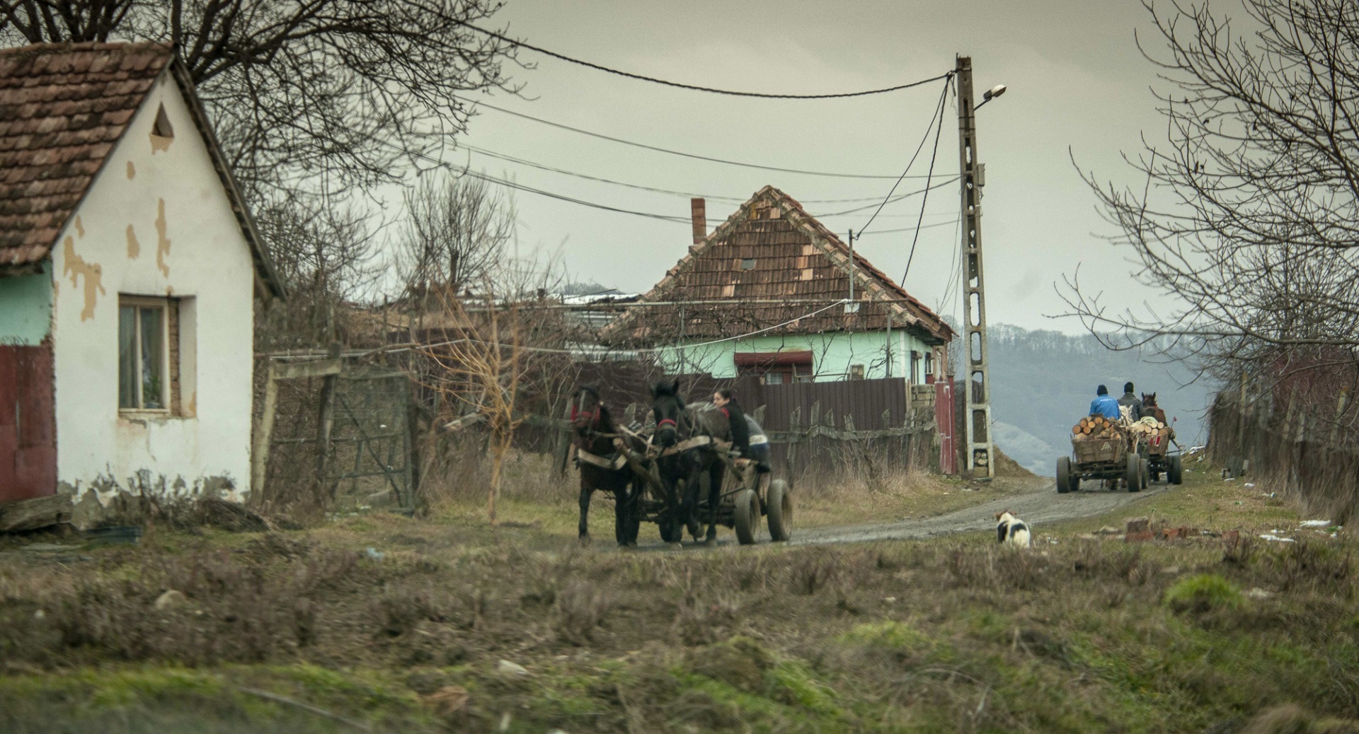 Roemenië, Boucharest, Viscri