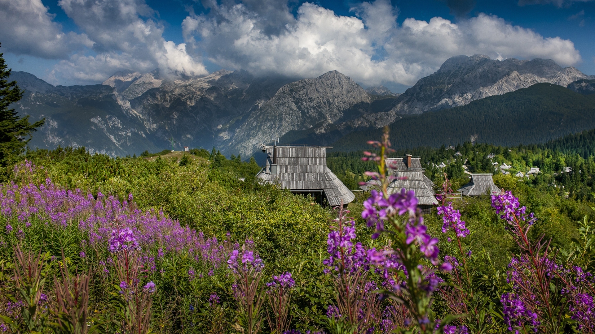 Slovenië