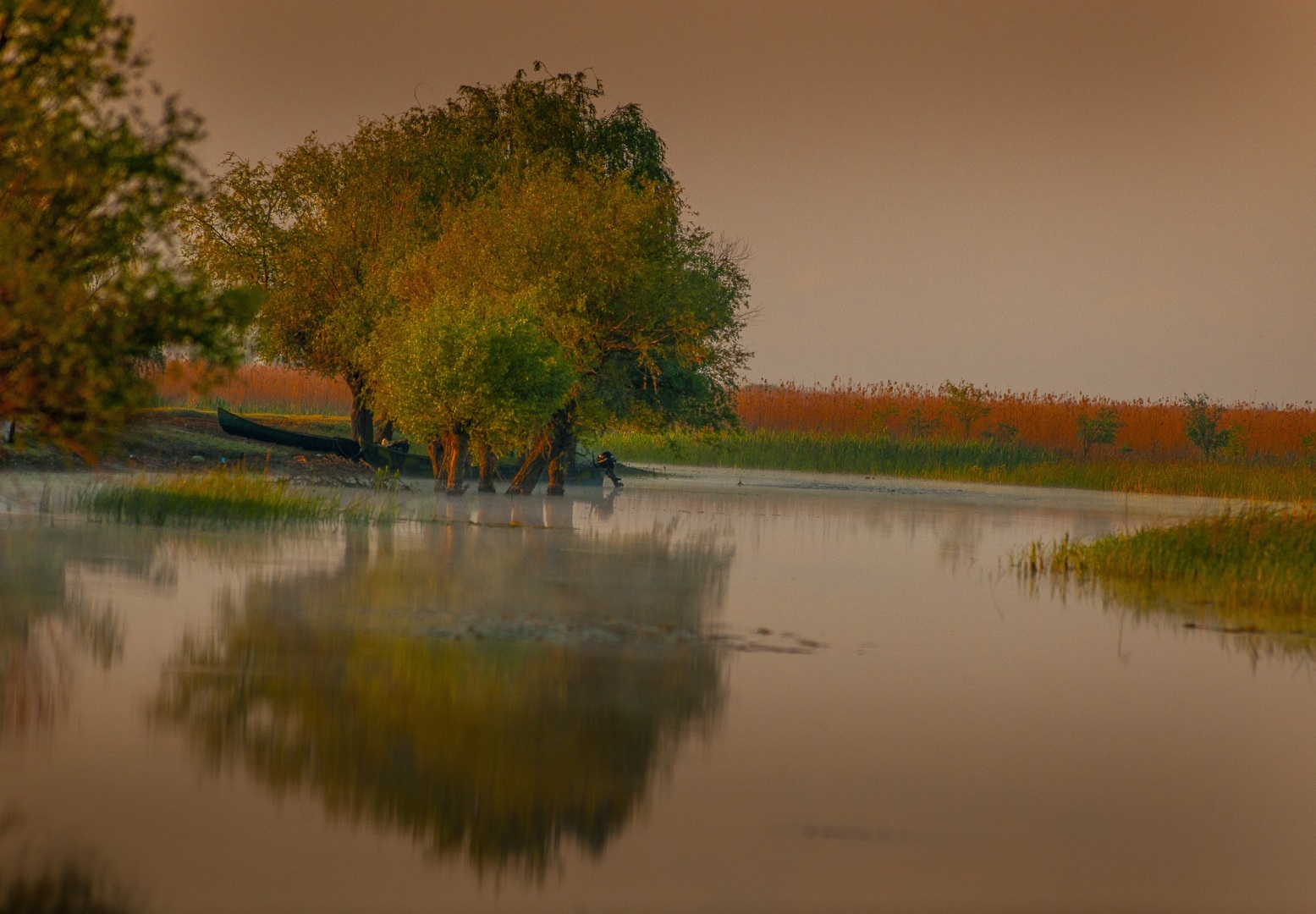 Roemenië, Donau Delta, Letea