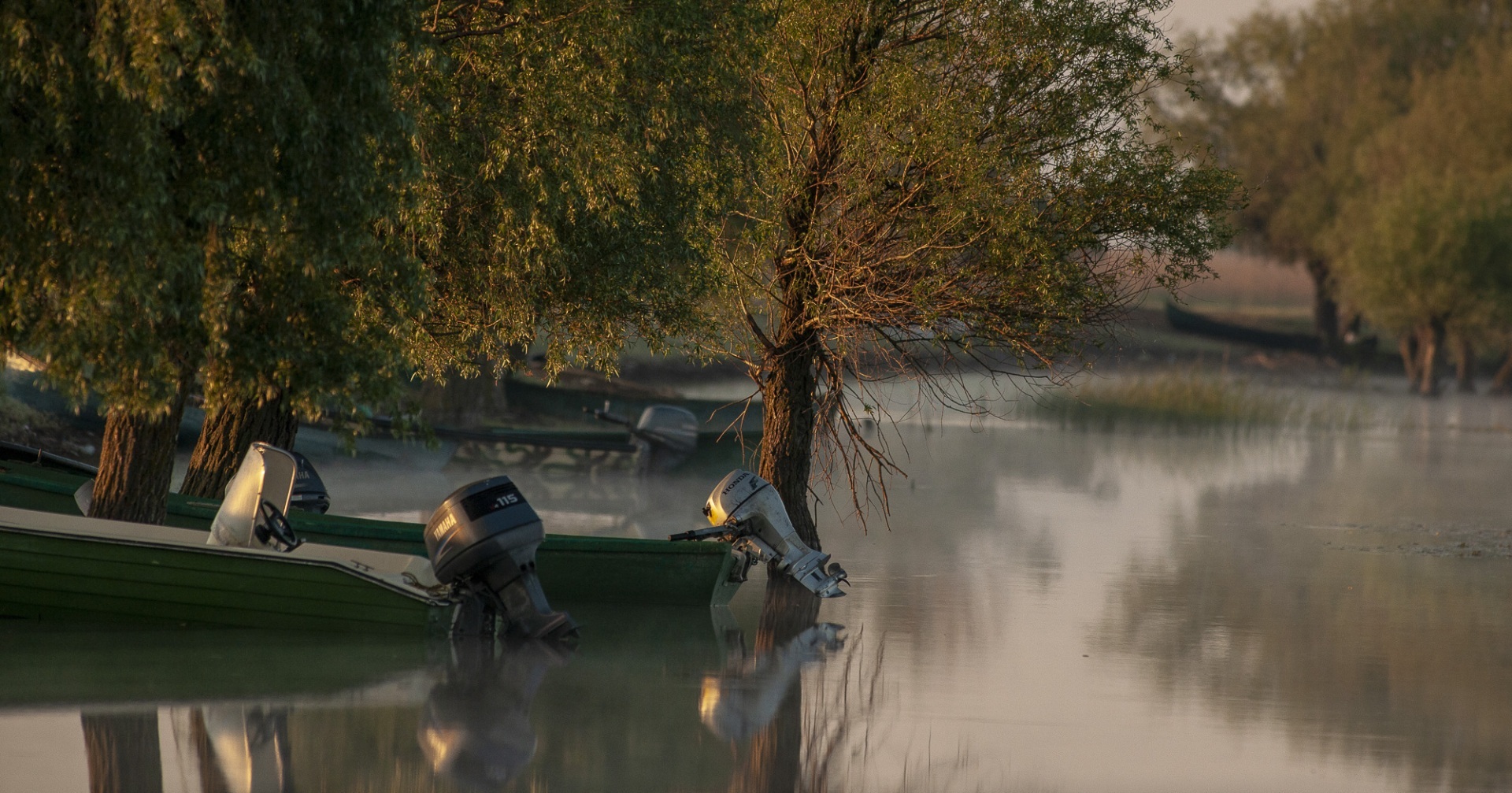 Roemenië, Donau Delta, Letea