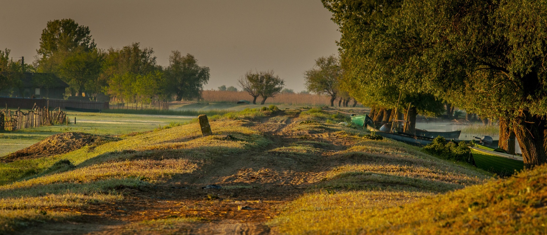 Roemenië, Donau Delta, Letea