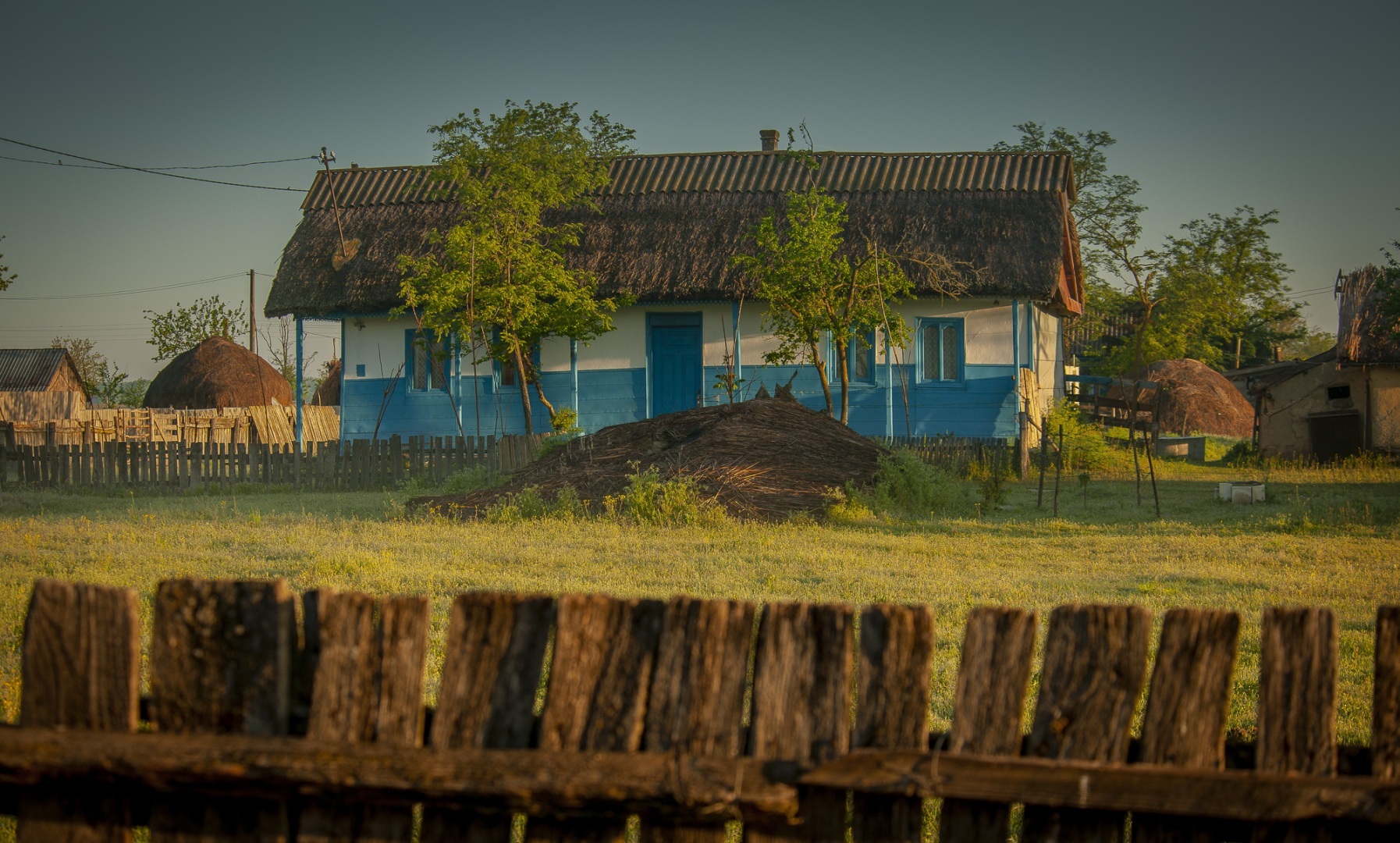 Roemenië, Donau Delta, Letea