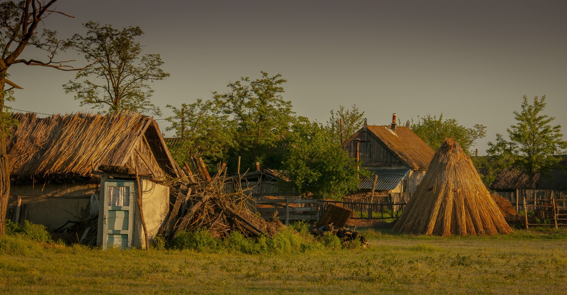 Roemenië, Donau Delta, Letea