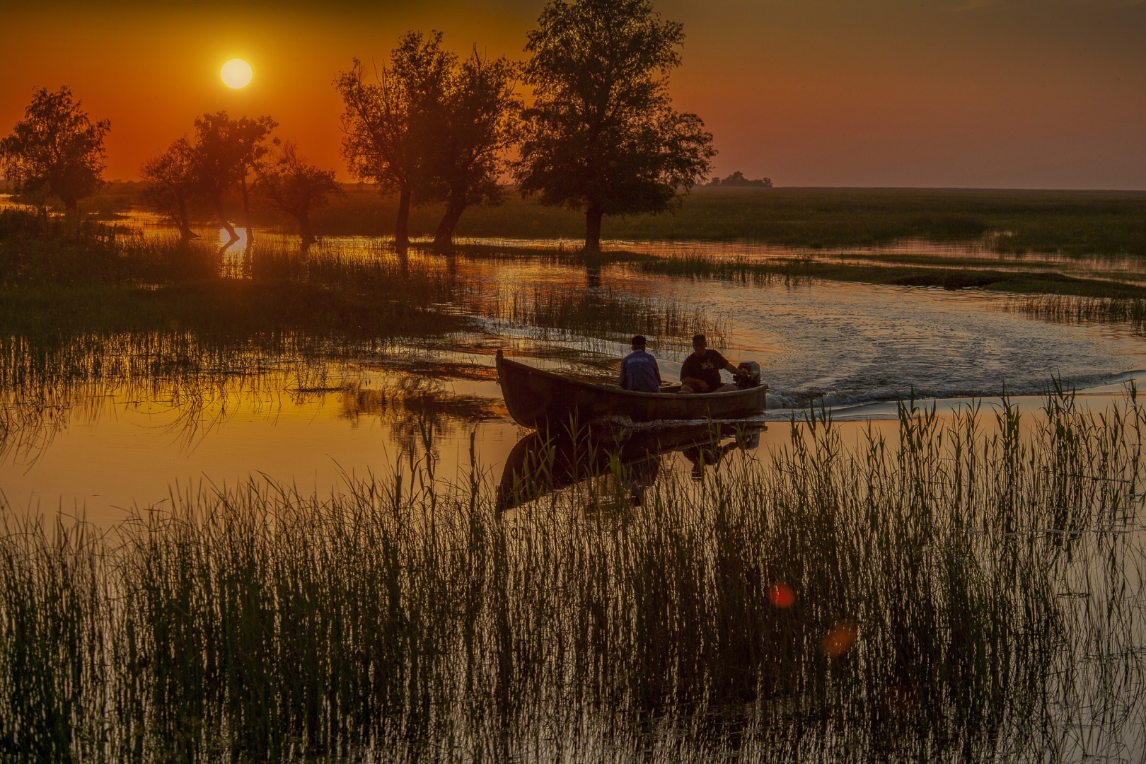 Roemenië, Donau Delta, Letea