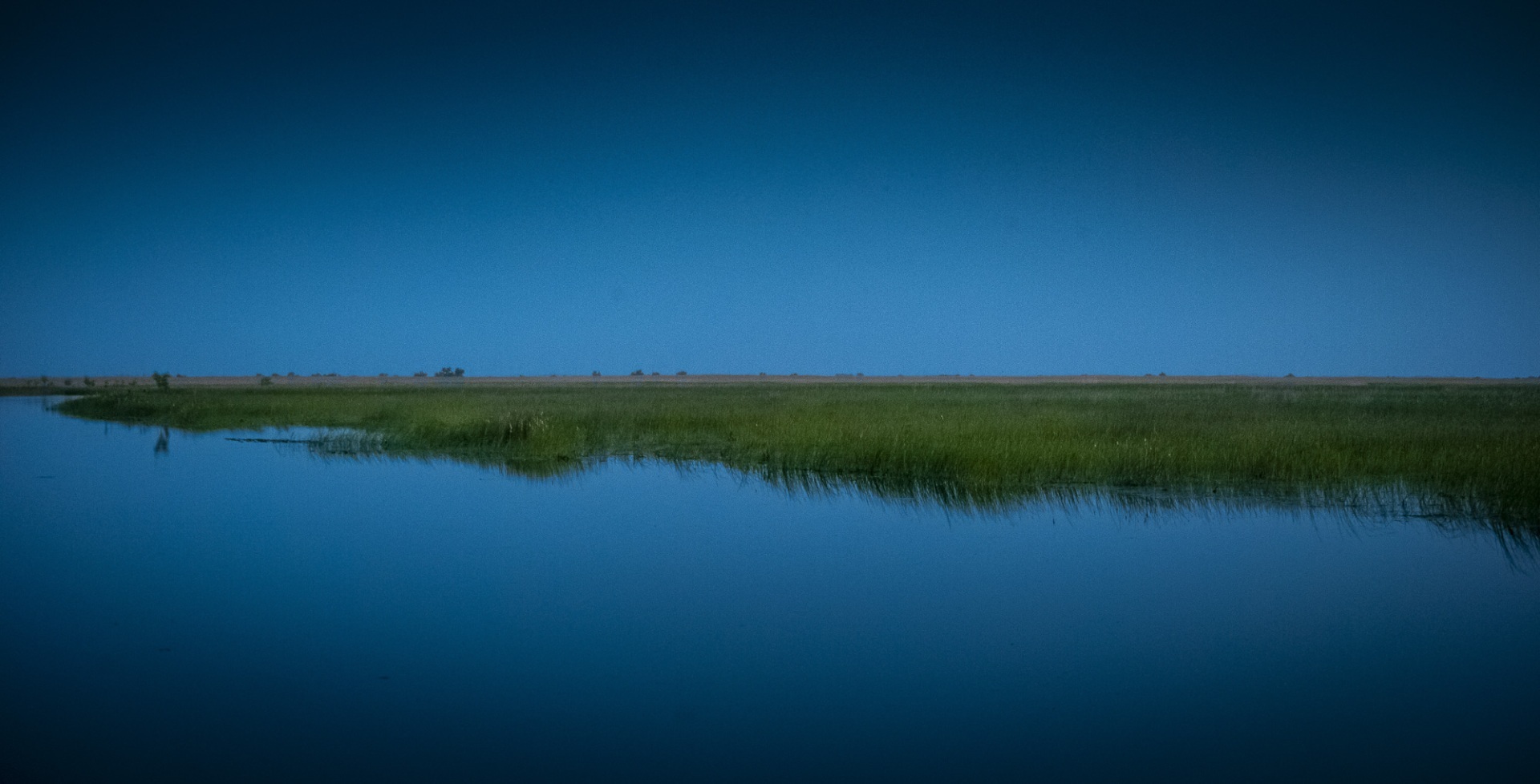 Roemenië, Donau Delta, Letea