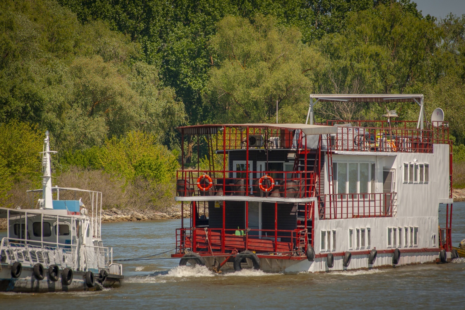 Roemenië, Donau Delta, Letea