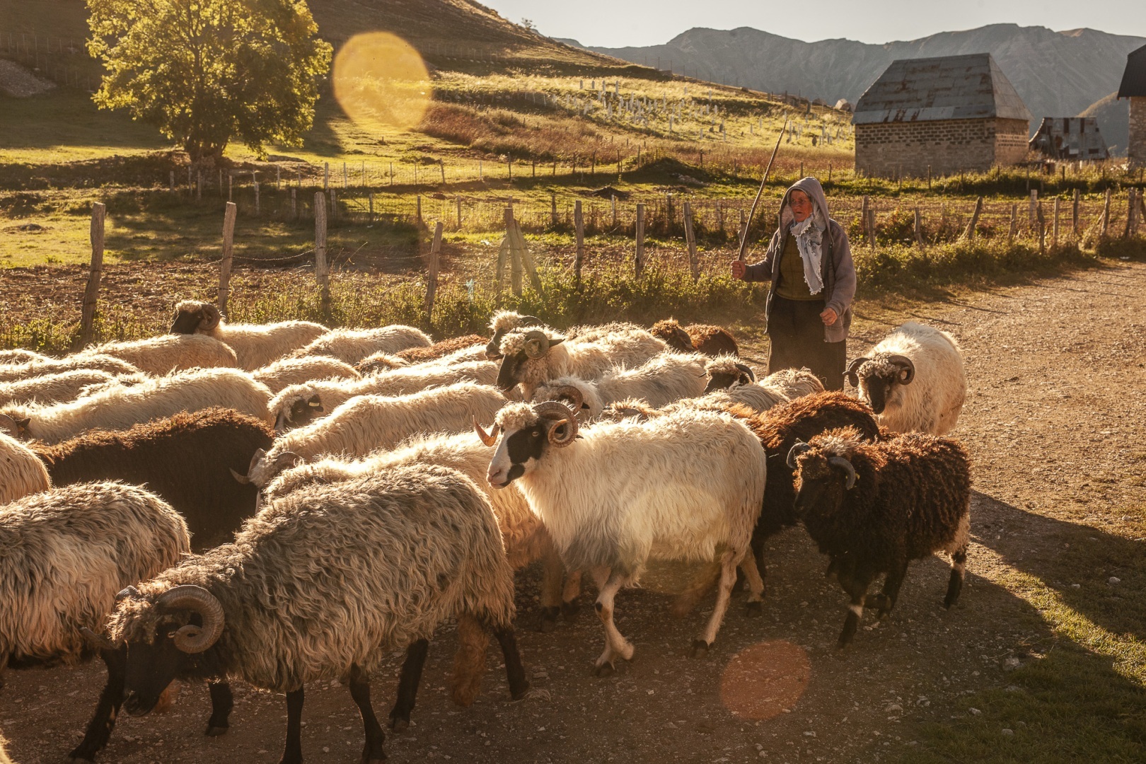 Balkan, Bosnië Herzegovina, Lukomir