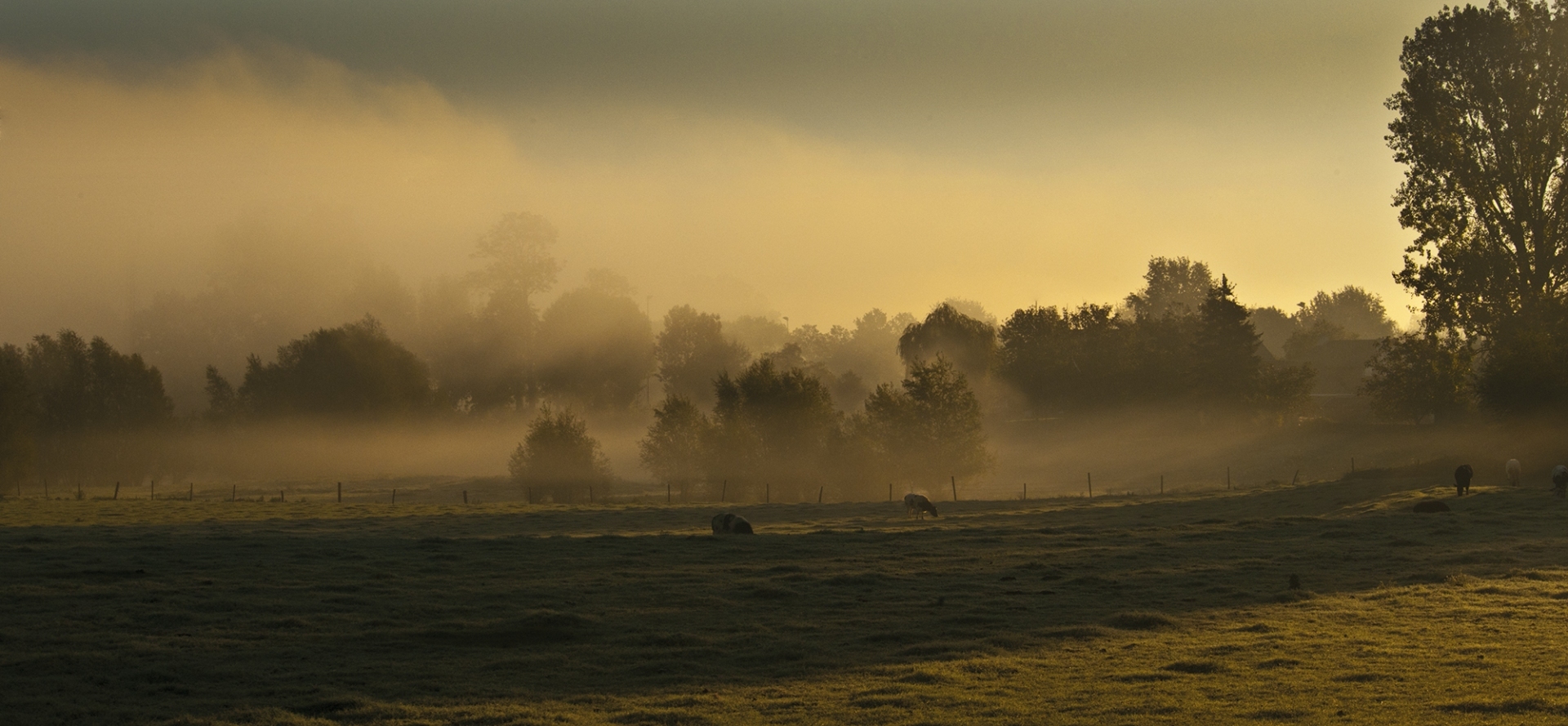 20111016-Maas-001-kopieren