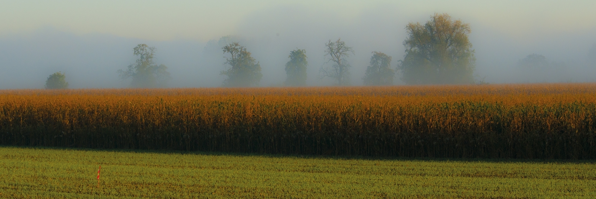 20111016-Maas-008-kopieren