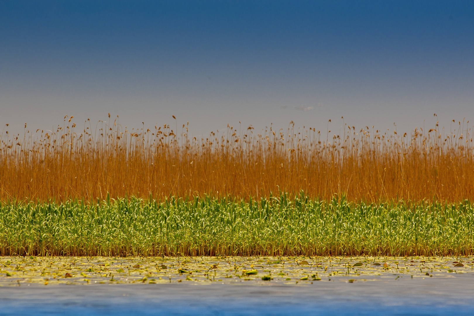 Roemenië, Donau Delta, Sfistofca