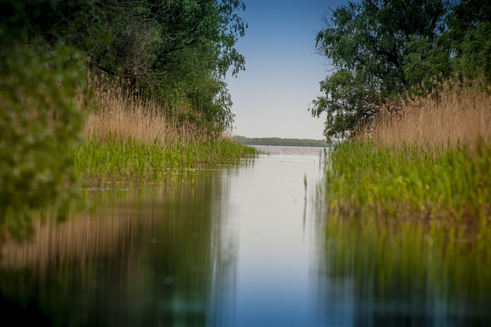 Roemenië, Donau Delta, Sfistofca