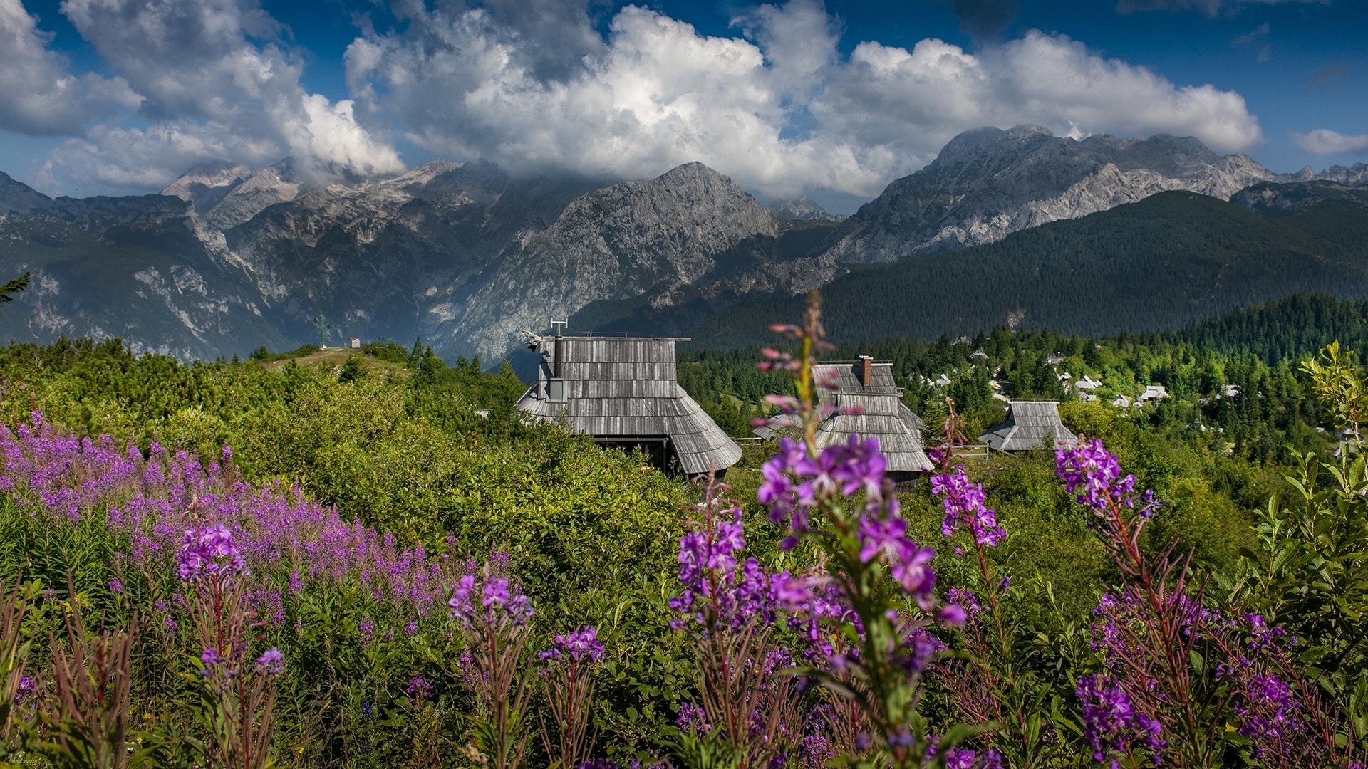 Velika Planina