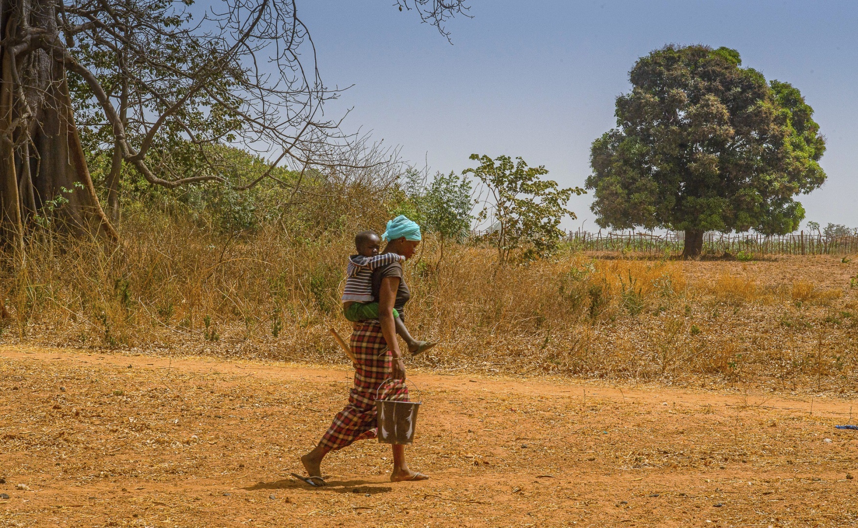The fascinating journey from Gunjur to Bassé