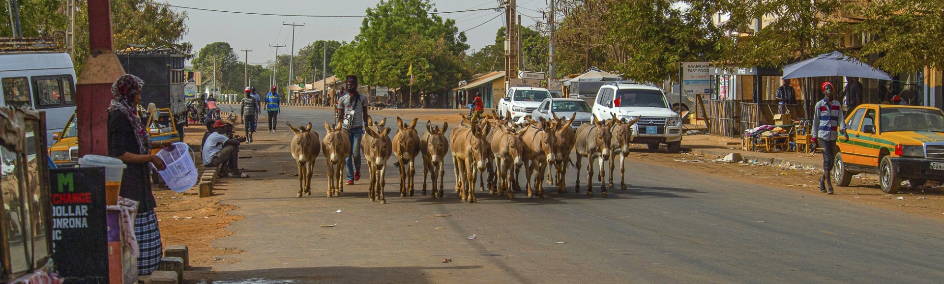 The fascinating journey from Gunjur to Bassé