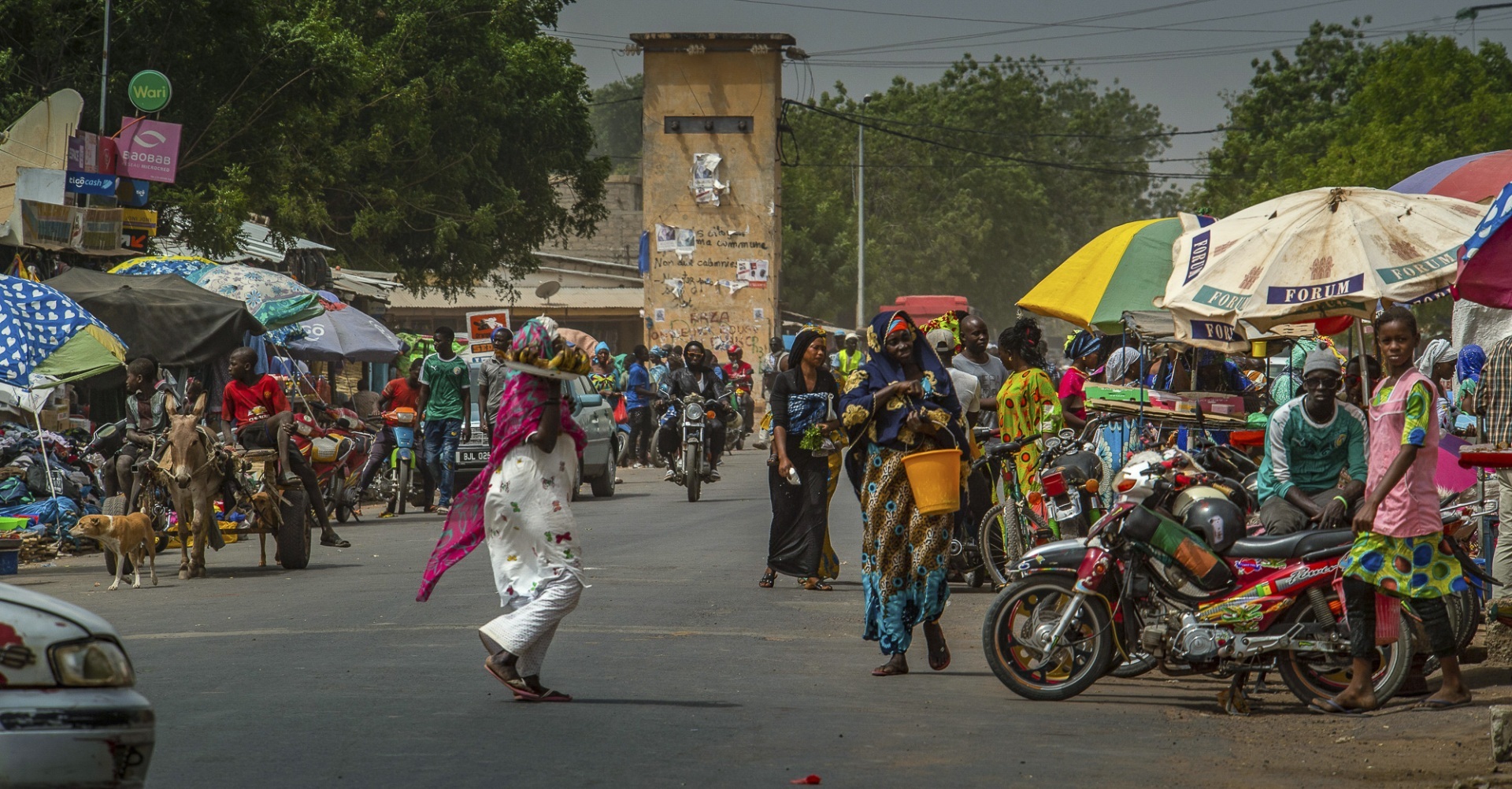 The fascinating journey from Gunjur to Bassé