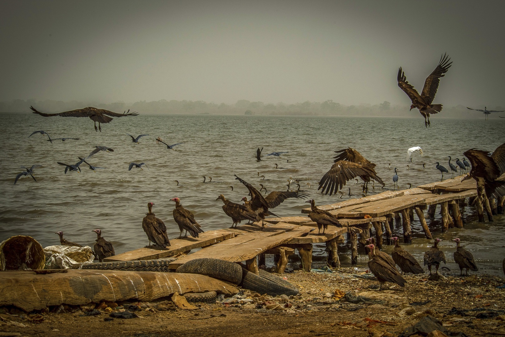 The fascinating journey from Gunjur to Bassé