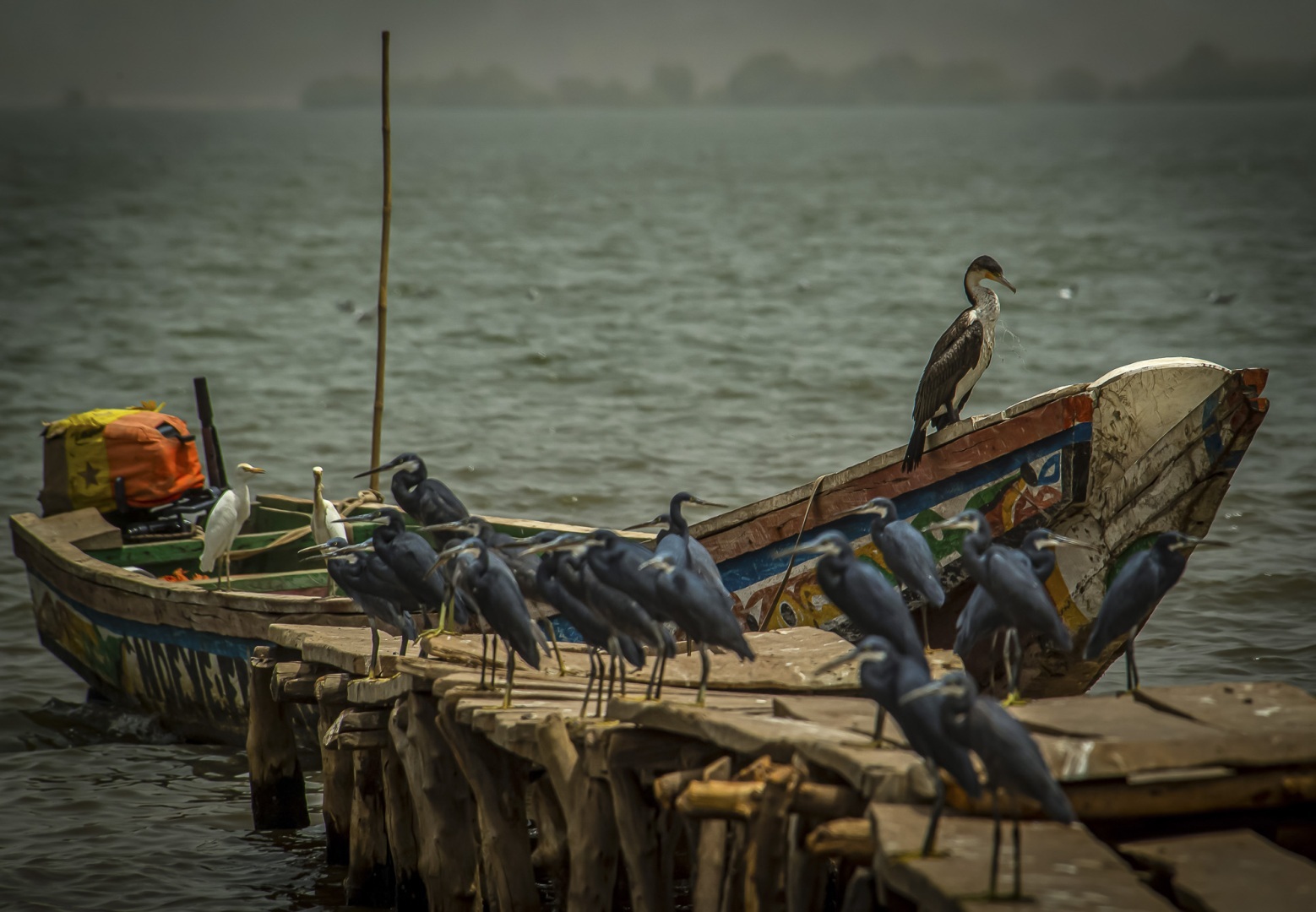 The fascinating journey from Gunjur to Bassé