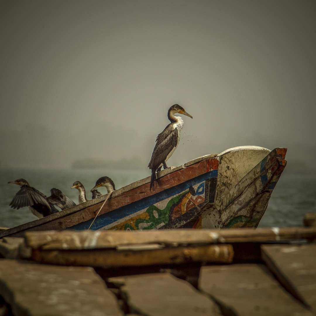 The fascinating journey from Gunjur to Bassé