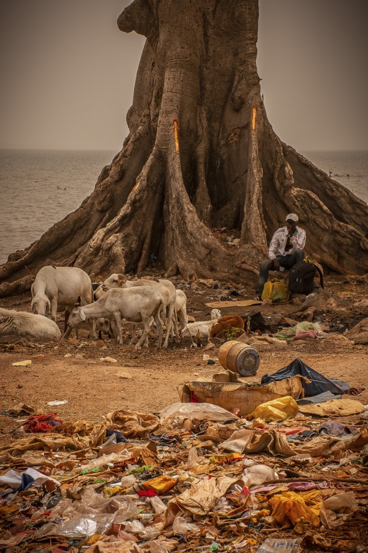 The fascinating journey from Gunjur to Bassé