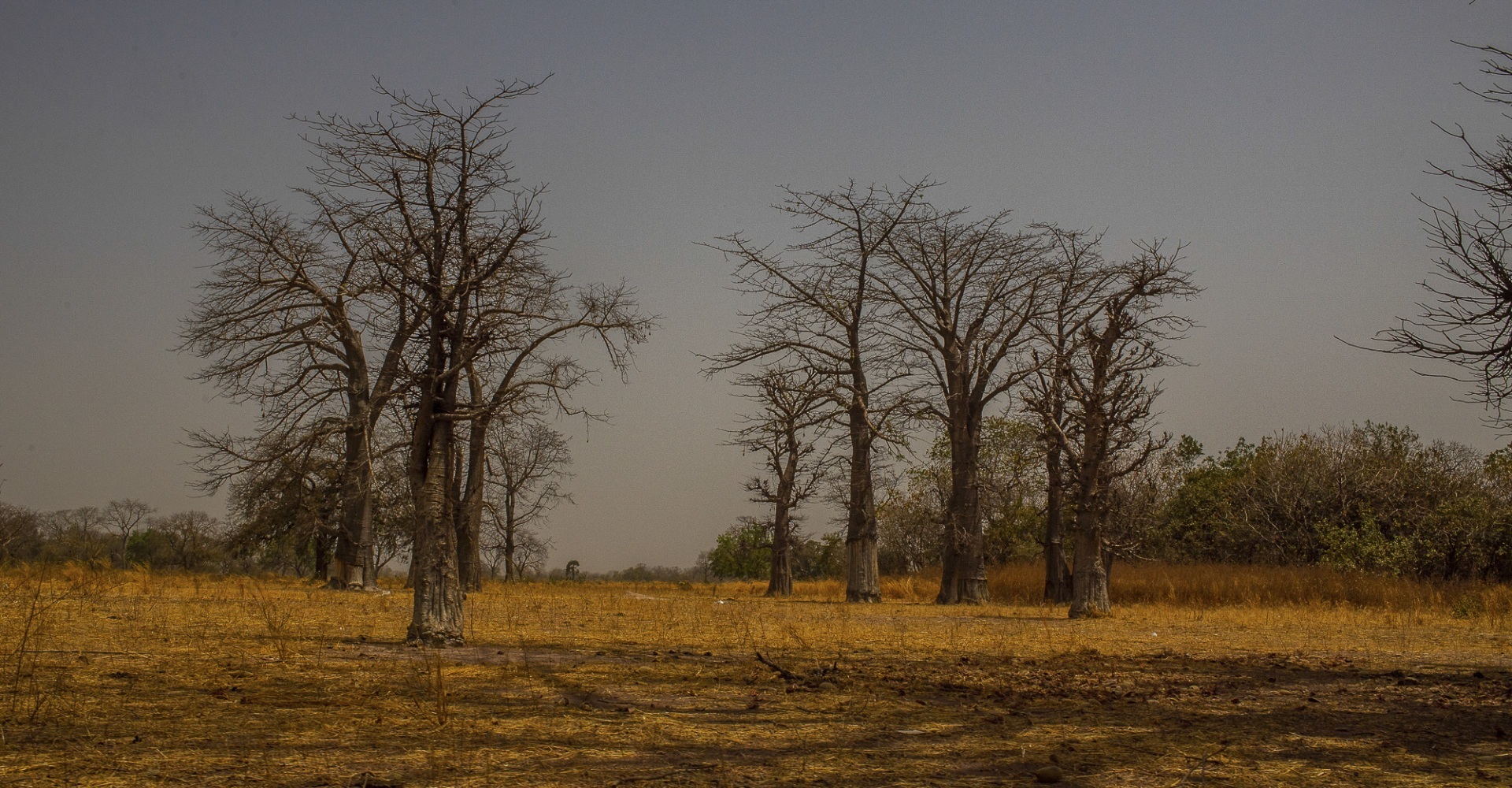The fascinating journey from Gunjur to Bassé