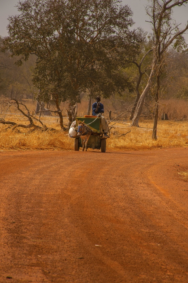 The fascinating journey from Gunjur to Bassé