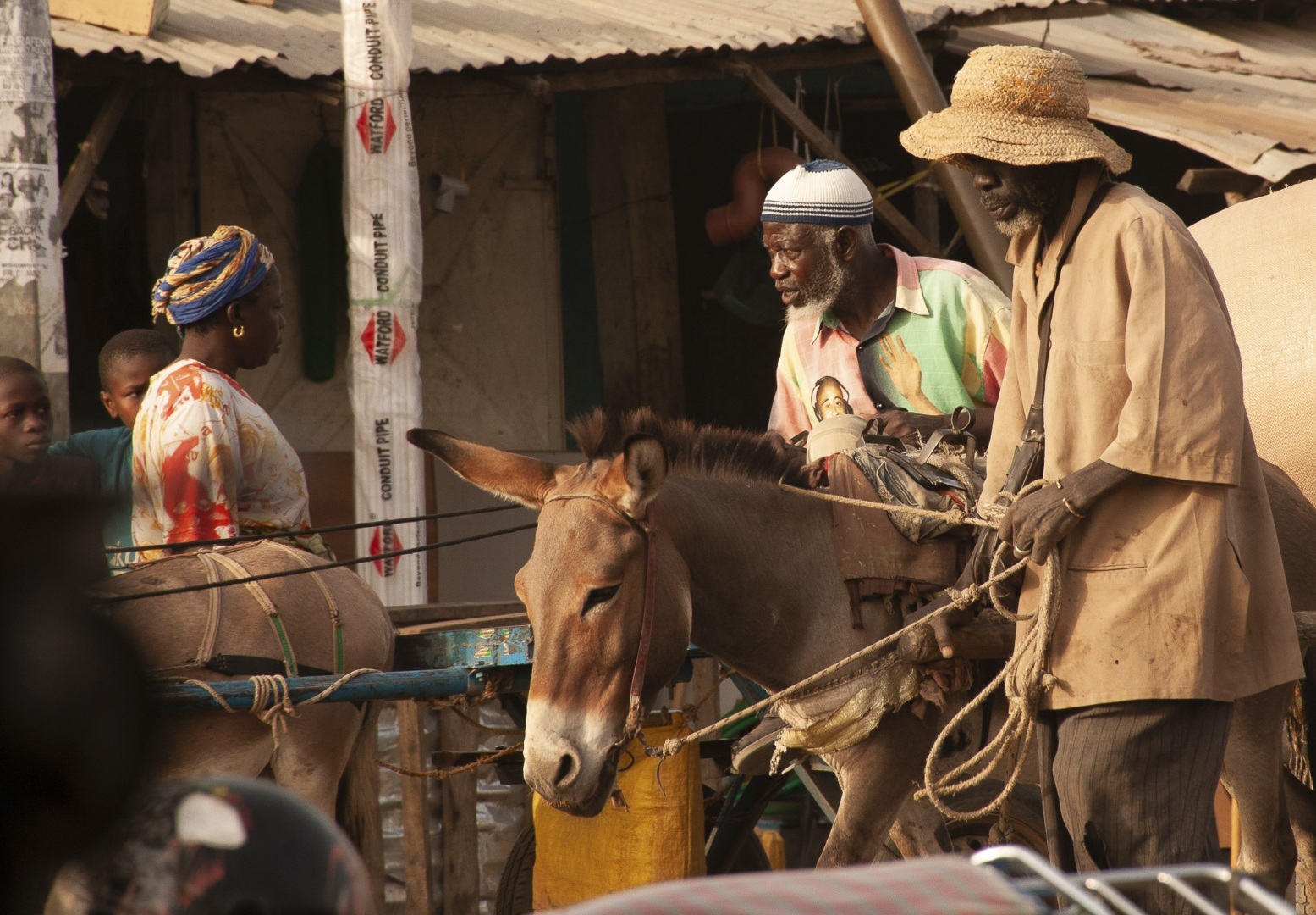 The fascinating journey from Gunjur to Bassé