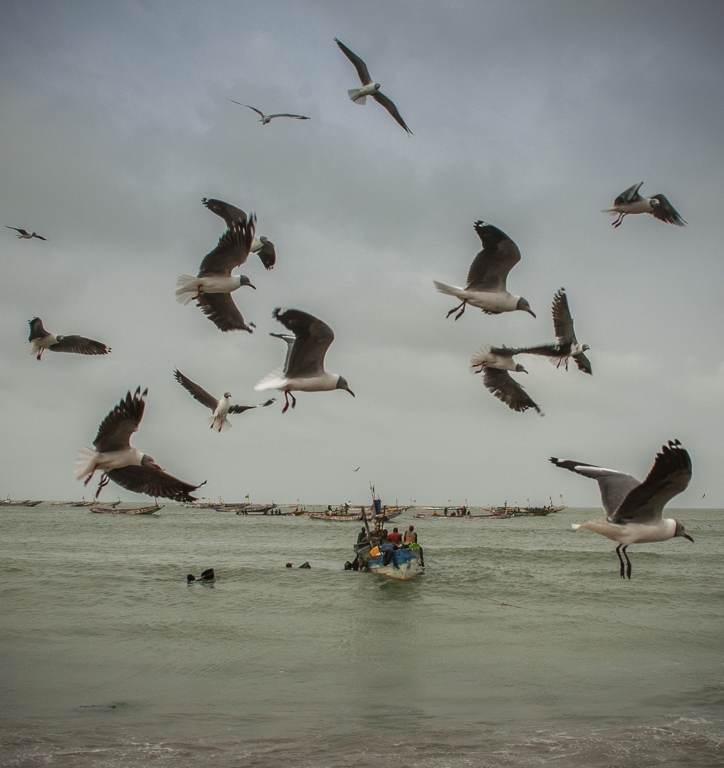 The fascinating journey from Gunjur to Bassé