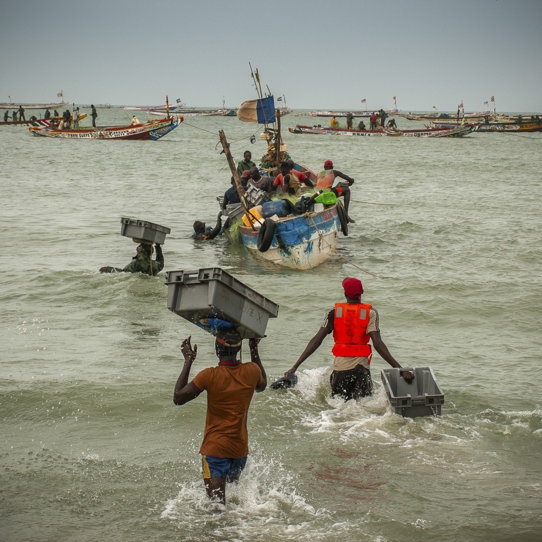 The fascinating journey from Gunjur to Bassé