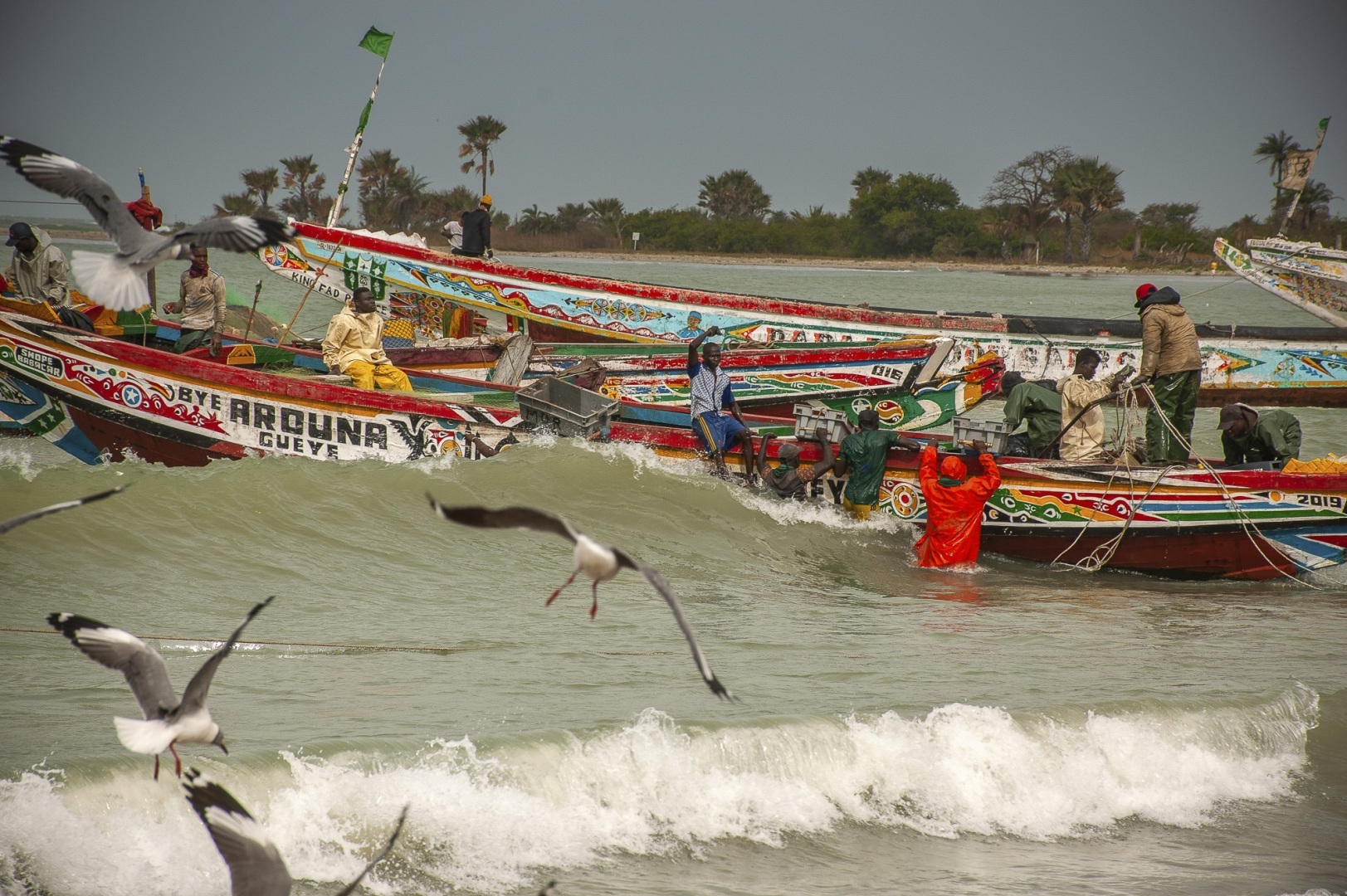 The fascinating journey from Gunjur to Bassé
