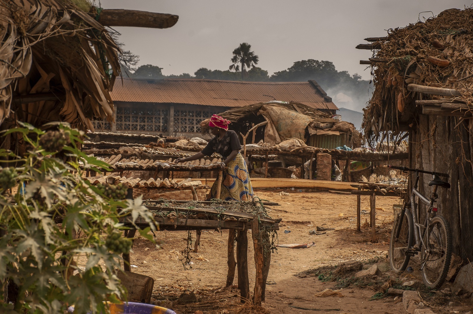 The fascinating journey from Gunjur to Bassé